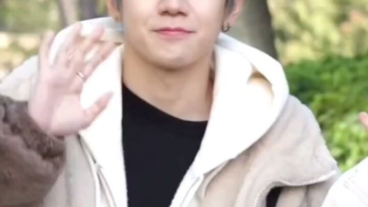 TAN visuals