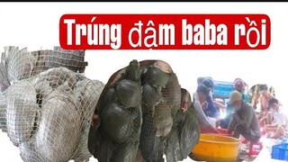 Cả nhà Nàng Út Ống Tre tất bật chuẩn bị tác hầm bắt baba khủng thu tiền tỉ phần 1