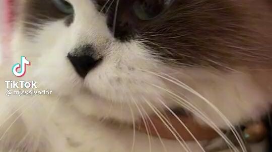 natuturuan Pala sya ...hahhahahha