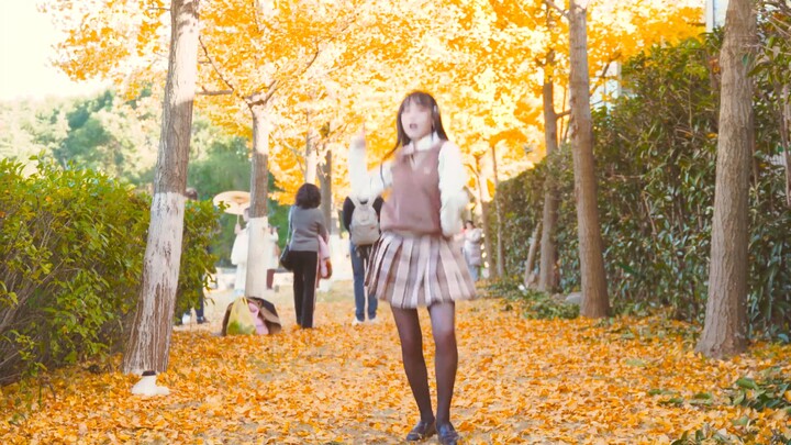 【A Ying】❤️Come and see the beautiful ginkgo rain in Nanjing❤️Super sensitive【Towards the evening】