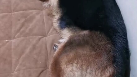 You think I’m sleeping?