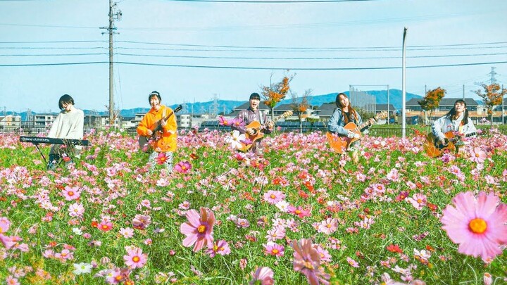 【LiSA】Yan【Nagoya Guitar Girls Club】