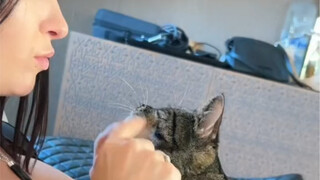 哦可爱的…不，我讨厌它