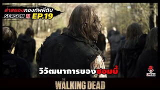 สรุปเนื้อเรื่อง ล่าสยองกองทัพผีดิบ ซีซั่น11 l วิวัฒนาการของซอมบี้ l The Walking Dead Season11 EP.19