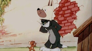 Tom & Jerry - Putti'n On The Dog