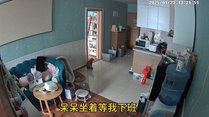 When the little kitten woke up, it thought its mom, grandma, and little brother had all gone out to 