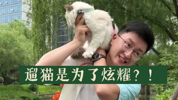 Walking the cat is just for show!! If that’s really the case, then the cat is really miserable.