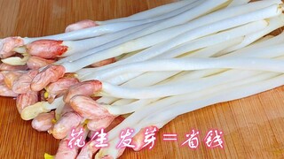 Sprouting peanuts saves you money—peanut sprouts that cost 25 yuan per jin can be easily grown at ho