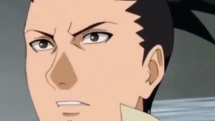 shikamaru family