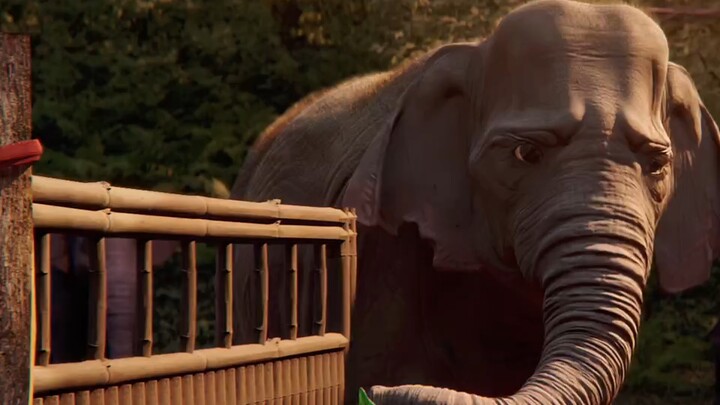 No matter how much time passes, the little elephant will always remember that it had a grandfather w