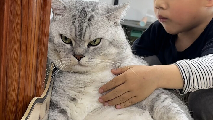 Dazhuang sudah muak