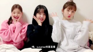 IVE第一次宿舍直播的三个草莓大福，可爱晕了！