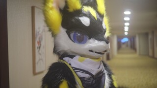 【兽装舞蹈】新年快乐，晚了两天