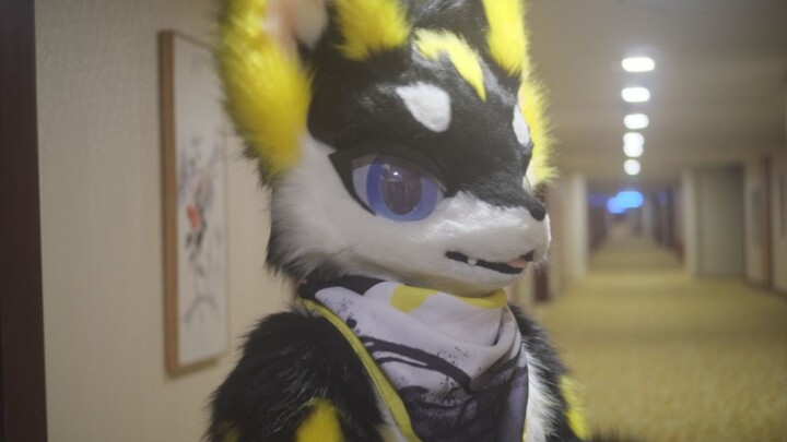 [Animal Costume Dance] Happy New Year, two days late