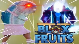 BLOXFRUITS Nhưng Tôi KẾT HỢP Tộc Cá V4 Và Trái SPIDER Săn BOUNTY CỰC MẠNH