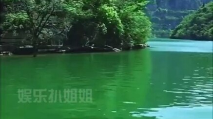 Nhất định đừng bơi ở những vùng nước xanh lá! #Bảng Vinh Danh Hành Động Bối Rối # Bình Luận Giải Trí