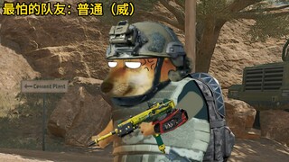 最怕的队友
