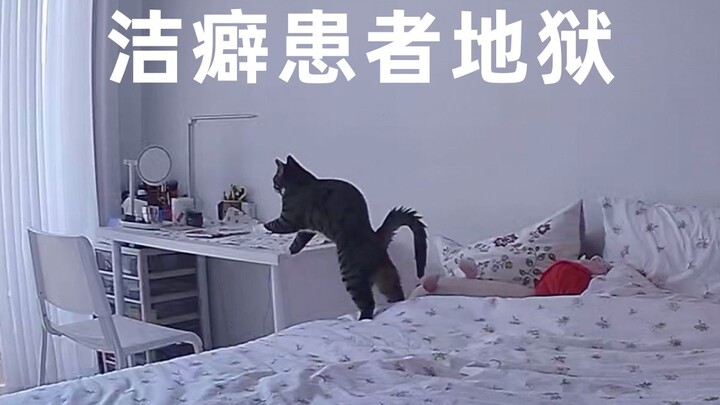 真诚提问 :这猫正常吗？ 监控拍下了它怪异的行为