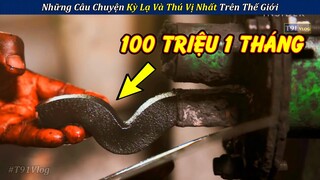 Phát Minh Kiếm Trăm Triệu Mỗi Tháng Từ Thứ Bỏ Đi | Những Câu Chuyện Thú Vị Nhất Thế Giới