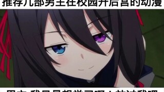 开番了，看看后宫番有没看过的吗。