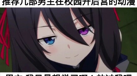 开番了，看看后宫番有没看过的吗。