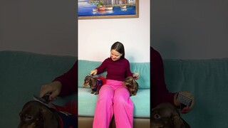 ТОСЯ РАСПЛАКАЛАСЬ, ПОТОМУ ЧТО ЧАПИ ЛЮБЯТ БОЛЬШЕ???😥