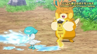 Parmot - Pokemon Horizons
