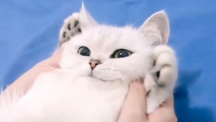 “Kalau kita begini, pacarmu nggak bakal salah paham, kan?”