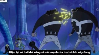 SSG Có Vai Trò Như Thế Nào Đối Với Hải Quân – Nguồn Gốc & Sức Mạnh p4
