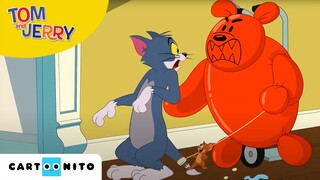 Tom și Jerry | Distracție cu baloane | Cartoonito