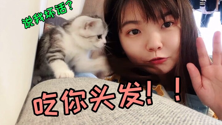 Đừng nói xấu mèo con trước mặt nó, nó nghe hiểu hết đấy! Tóc tôi sắp bị nhổ sạch mất rồi...