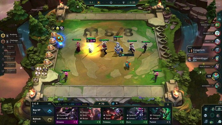 TFT 3 Star fiora academic