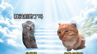 إذا كان التقمص في الحياة القادمة بحاجة إلى توزيع