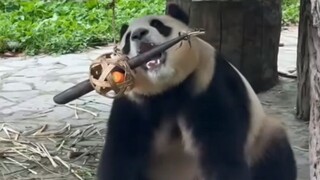 Người Hàn Quốc đừng quá điên rồ, ngay cả bảo mẫu cũng có thể cười mẹ không đối xử tốt với con.