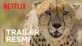 Animal | Trailer Resmi | Netflix