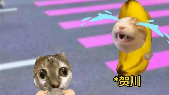 Được người cha giàu nhất đón về thì như thế nào?