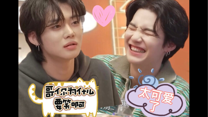 [Cui Ranjun] Kitten: What should I do when big brother keeps laughing at me? Big Cat: You’re just to