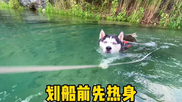 พาเจ้าฮัสกี้ไปพายเรือ โอ้พระเจ้า ฉันทำผิดอะไรไปเนี่ย...