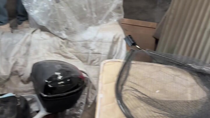 Một bầy mèo con mọc lên từ đống rác, cùng với một “Hoàng Đại Tiên” vàng óng.