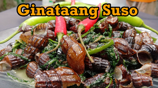 Ginataang Suso(Freshwater Snail) with Fern Salad