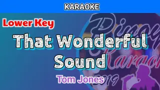 That Wonderful Sound by Tom Jomes (Karaoke : Lower Key)