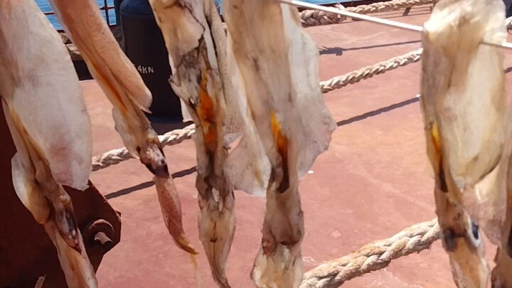 pusit sa Indiana ocean #seamananagat