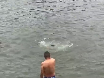 A group of pros waited until the drowning person had their fill of water before rushing to rescue th