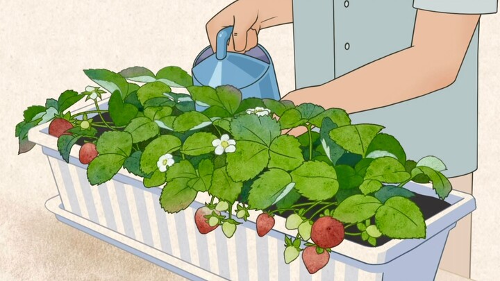 Original animation "Park Seok" Episode 3
