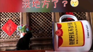 هذه الكافتيريا صغيرة بعض الشيء!