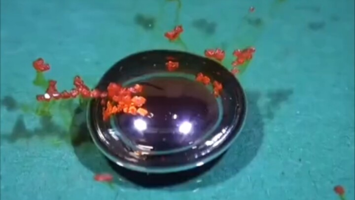 Fun chemistry experiments—be sure to watch until the end!