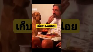 *ดูรวมคลิปเต็มกดลิงค์ด้านบน* เก็บทรงหน่อยเรามันผู้ดี #funny #reels #awesome #รวมคลิปตลก