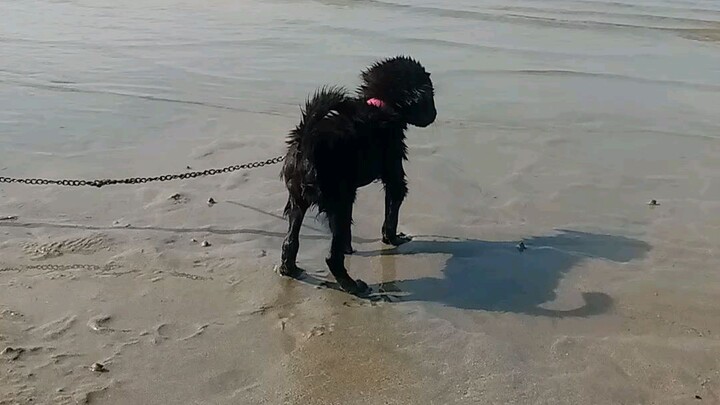 sea