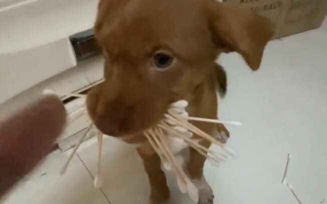 You just can’t help but stir up trouble every day.