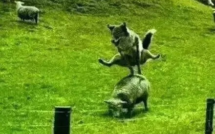 ถ้าไม่มีกล้องถ่าย คงไม่กล้าเชื่อภาพต่อไปนี้เลย (ตอนที่ 3)